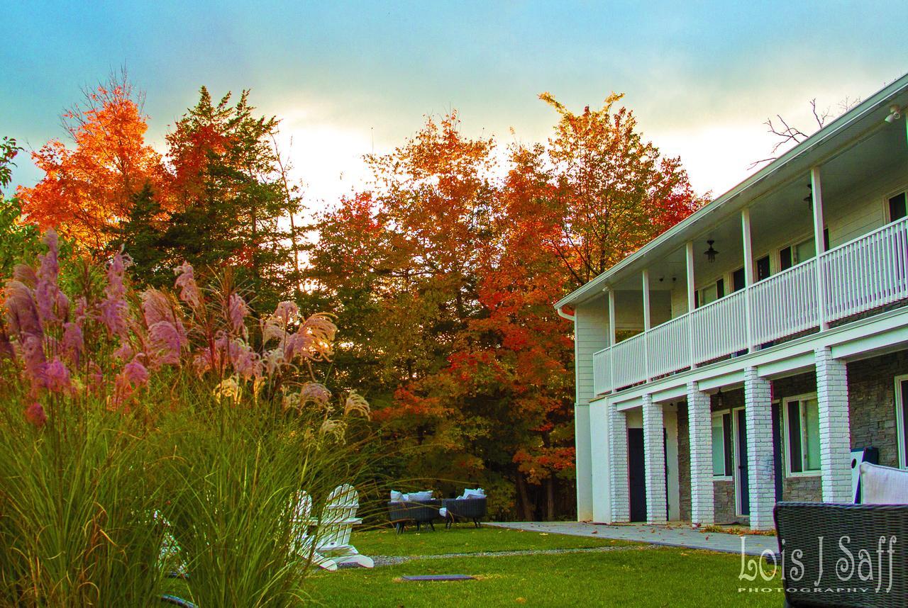 Dylan Hotel Woodstock